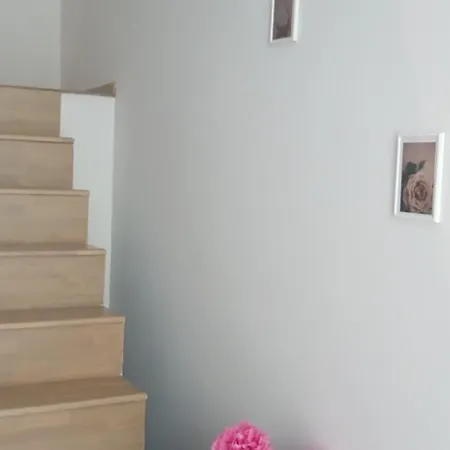 דירה Leo Dublex גולם