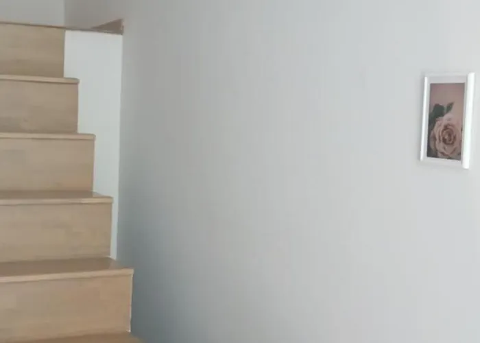 דירה Leo Dublex גולם